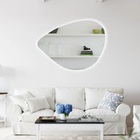 Espelho Orgânico Decorativo Iluminado Com Led Frio 55x77cm