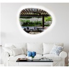 Espelho Orgânico Decorativo Iluminado Com Led Frio 60x50cm