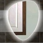 Espelho Orgânico Decorativo Iluminado Com Led Frio 64x54cm