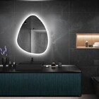 Espelho Orgânico Decorativo Iluminado Com Led Frio 80x90cm