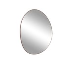 Espelho Orgânico Decorativo Moldura Em Couro - 80x65 Cm