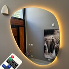 Espelho Orgânico Grande Decorativo 80cm Com Led E Controle