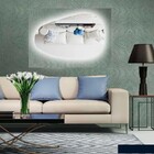 Espelho Orgânico Iluminado Com Led Frio 43x76cm Touch