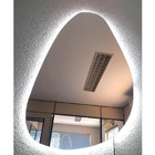 Espelho Orgânico Iluminado Com Led Frio 43x76cm Touch