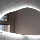 Espelho Orgânico Iluminado Com Led Frio 43x76cm Touch