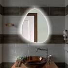 Espelho Orgânico Iluminado Com Led Frio 55x77cm Touch