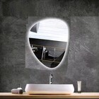 Espelho Orgânico Iluminado Com Led Frio 64x54cm Touch