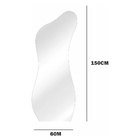 Espelho Orgânico Luxo Grande 150 X 60 Corpo Inteiro Moderno L