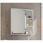 Espelho Para Banheiro C/ 1 Porta E 1 Prateleira Treviso - Mgm