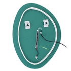 Espelho para Banheiro com LED Oval Bivolt 70x53 cm Orgânico Dna Lustres
