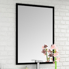 Espelho Para Banheiro Com Painel 58x90 Omega B06 Preto - Lyam