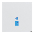 Espelho para Banheiro Quadrado 59,8x59,8 cm Lírio Astra