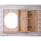 Espelho Redondo Para Banheiro Com Armario Cor Madeira Clara