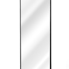 Espelho Retangular Com Moldura Em Metal 170 X 70 Cm - Cores -