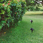 Espeto De Jardim 6w Spot Led Luz Verde Ip65 A Prova D'água