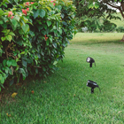 Espeto para Jardim LED 6W Luz Branca IP65 Inspire