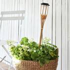 Espeto Solar Bambu 81cm IP44