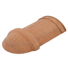 Espigão Cerâmica 42,1x25,5cm Mediterrânea Terracota Plus Hidrofugada Top Telha