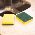 Esponja Multiuso com 10 Unidades Brilhus