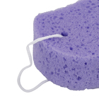 Esponja para Banho 465 Violeta Bettanin 