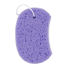 Esponja para Banho 465 Violeta Bettanin 