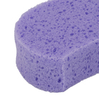 Esponja para Banho 465 Violeta Bettanin 