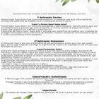 Espreguiçadeira 429 Roma  Madeira Maciça Madeira