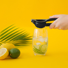 Espremedor de Limão Oikos