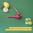 Espremedor De Limão Verde - Oikos