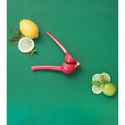 Espremedor De Limão Verde - Oikos