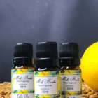 Essência 10ml Dolce Vita Mels Brushes Home Fragrance