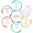 Essência 10ml Escolha O Aroma - Via Aroma Aroma:andiroba