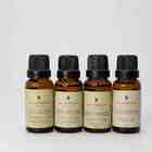 Essência 20 Ml Alecrim E Limão Siciliano M.victoria