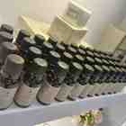 Essência 20 Ml Alecrim E Limão Siciliano M.victoria