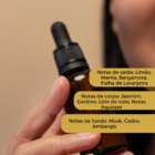 Essência Concentrada De Bamboo