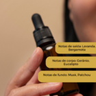 Essência Concentrada De Lavanda Francesa