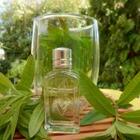 Essencia Insp Loxitane Verbena 100ml