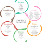 Essência Linha Classica 10ml Via Aroma Aroma:alecrim Silvestre