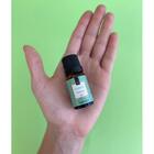 Essência Para Aromatizador Elétrico 10ml Via Aroma