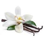 Essencia Vanilla Luxo 100 Ml