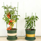 Estaca Para Suporte De Plantas E Treinamento Tutor - Atura 12