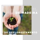 Estante De Nicho Alto Branca Tubos Cromados