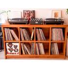 Estante Para Discos De Vinil Cin-001