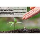 Estante Para Livros 2 Portas Vidro Ditália E-957