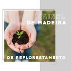 Estante Sapateira Multifuncional Branco Com Tubos Cromados