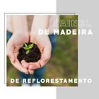 Estante Sapateira Multifuncional Madeirada Tubos Industrial