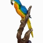 Estátua Arara Azul No Galho Top
