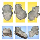 Estátua Decorativa De Cerâmica  Sapo Com Relevo