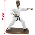 Estatueta Decoração Lutador Jiu-jítsu Escultura Resina 23cm