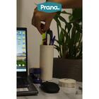 Estojo Porta Caneta Lápis Óculos Multiuso Organizador Prana